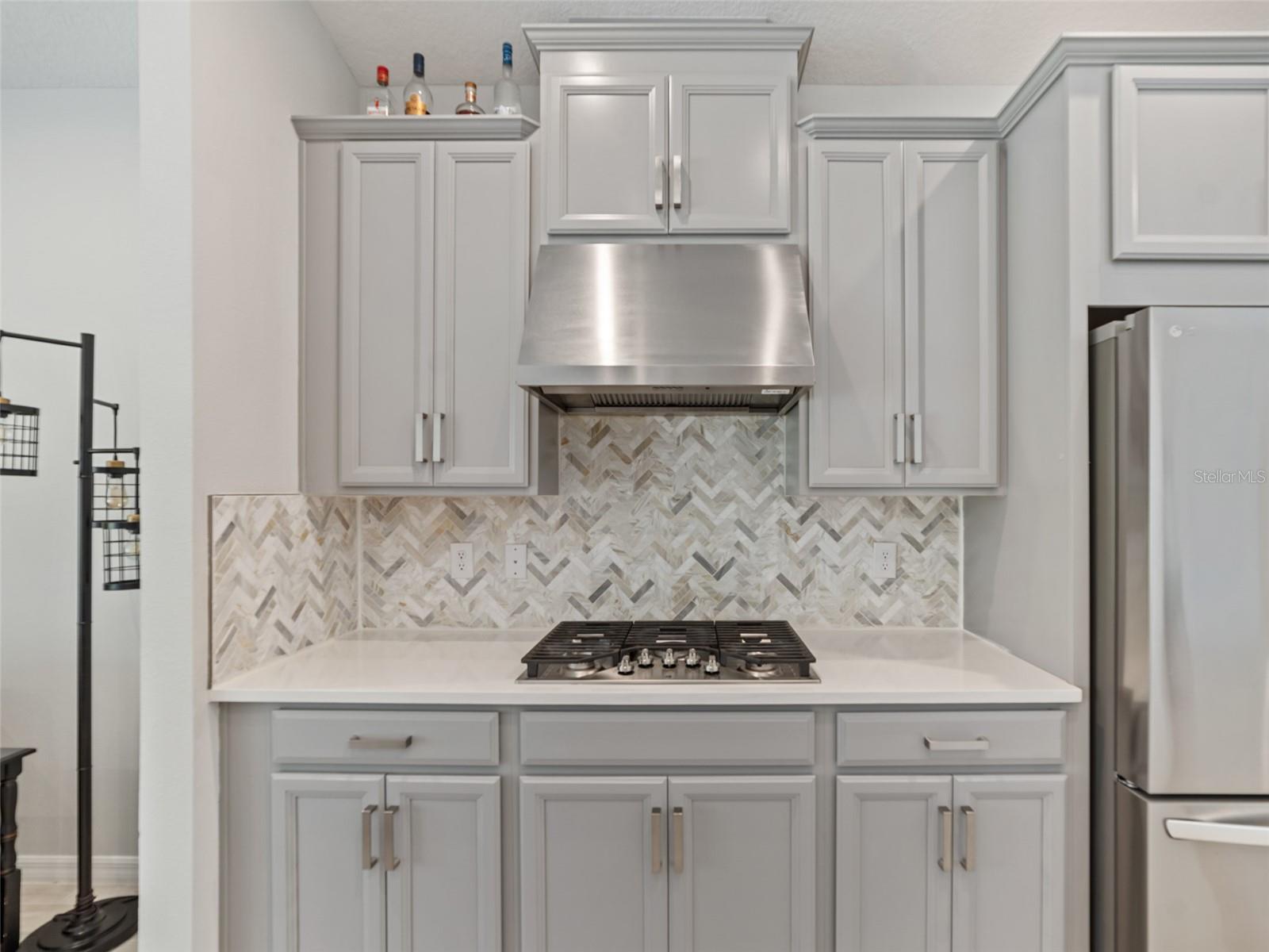 10515 TRANQUIL MEADOW LOOP, RIVERVIEW, FL, 33569