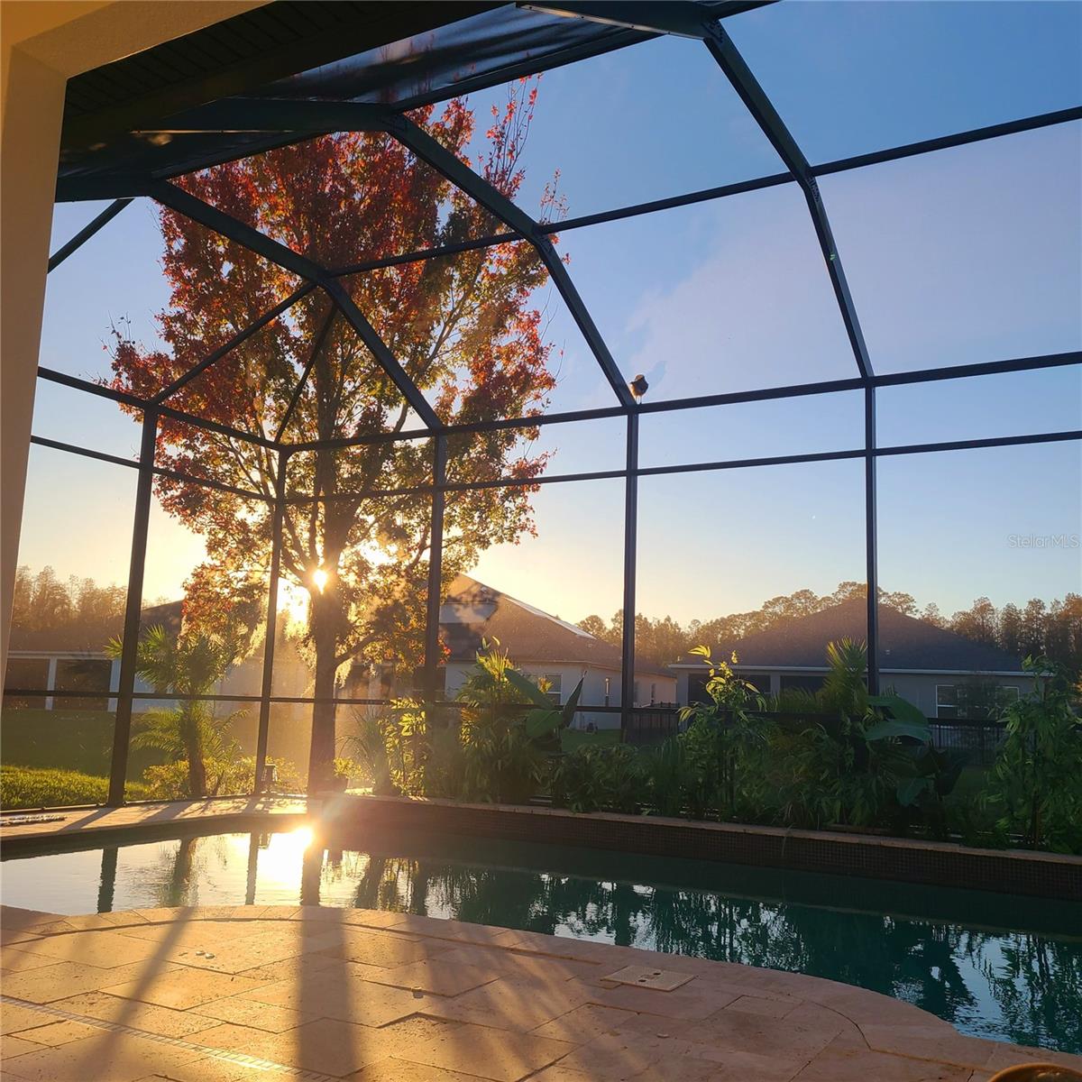 4513 POINTE O WOODS DR, WESLEY CHAPEL, FL, 33543