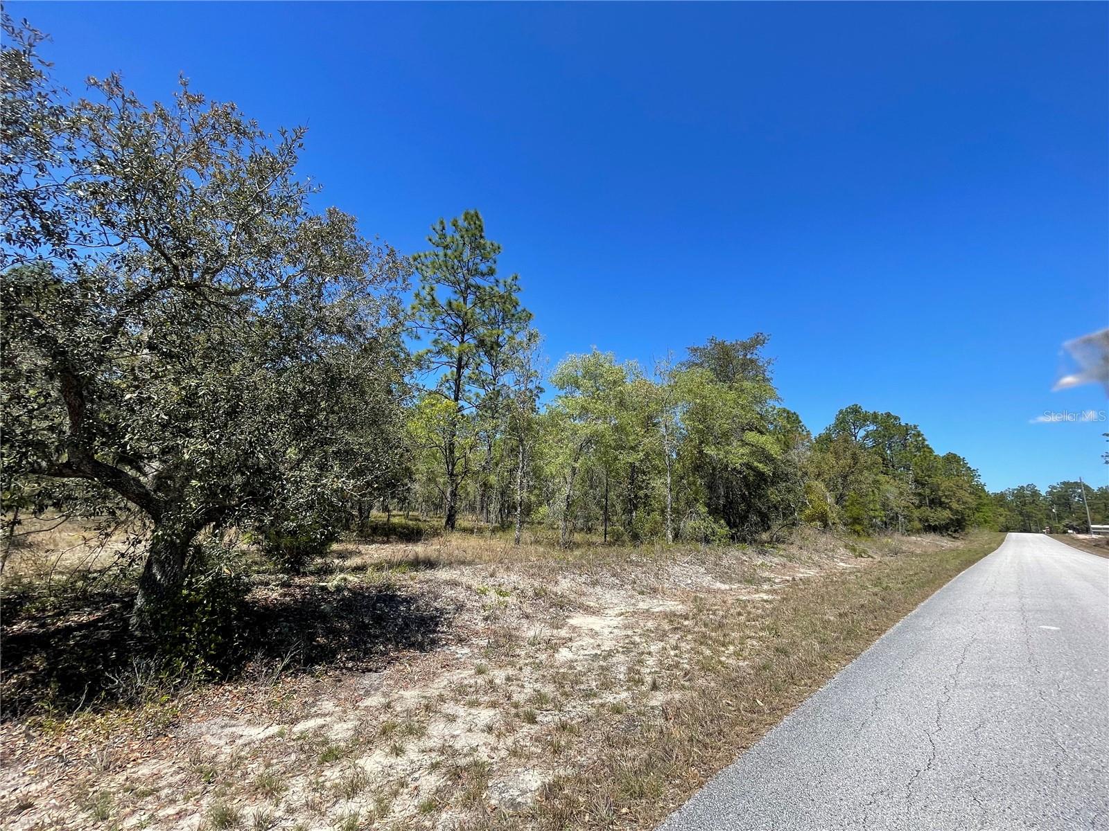 SW FIG TREE LN, DUNNELLON, FL, 34431