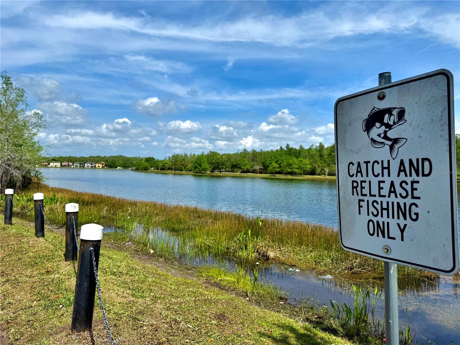 9934 MOSS ROSE WAY, ORLANDO, FL, 32832