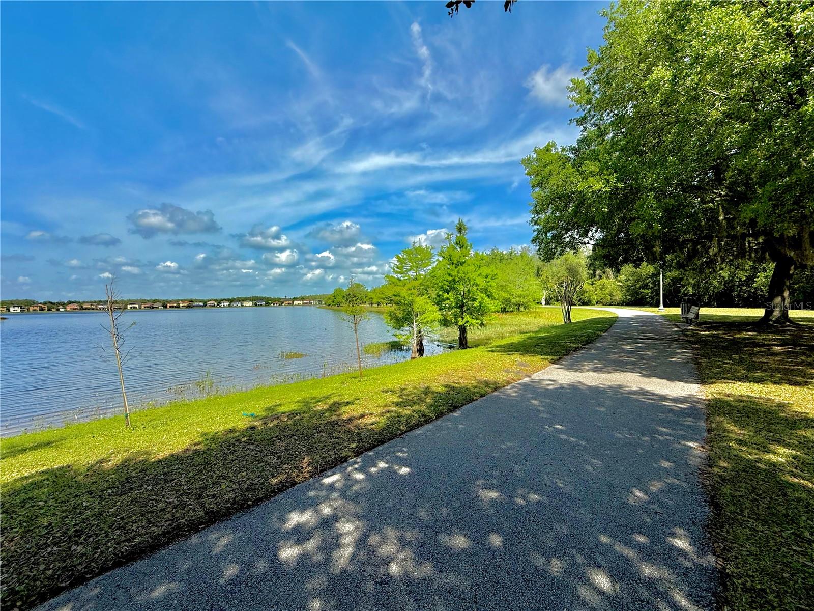 9934 MOSS ROSE WAY, ORLANDO, FL, 32832