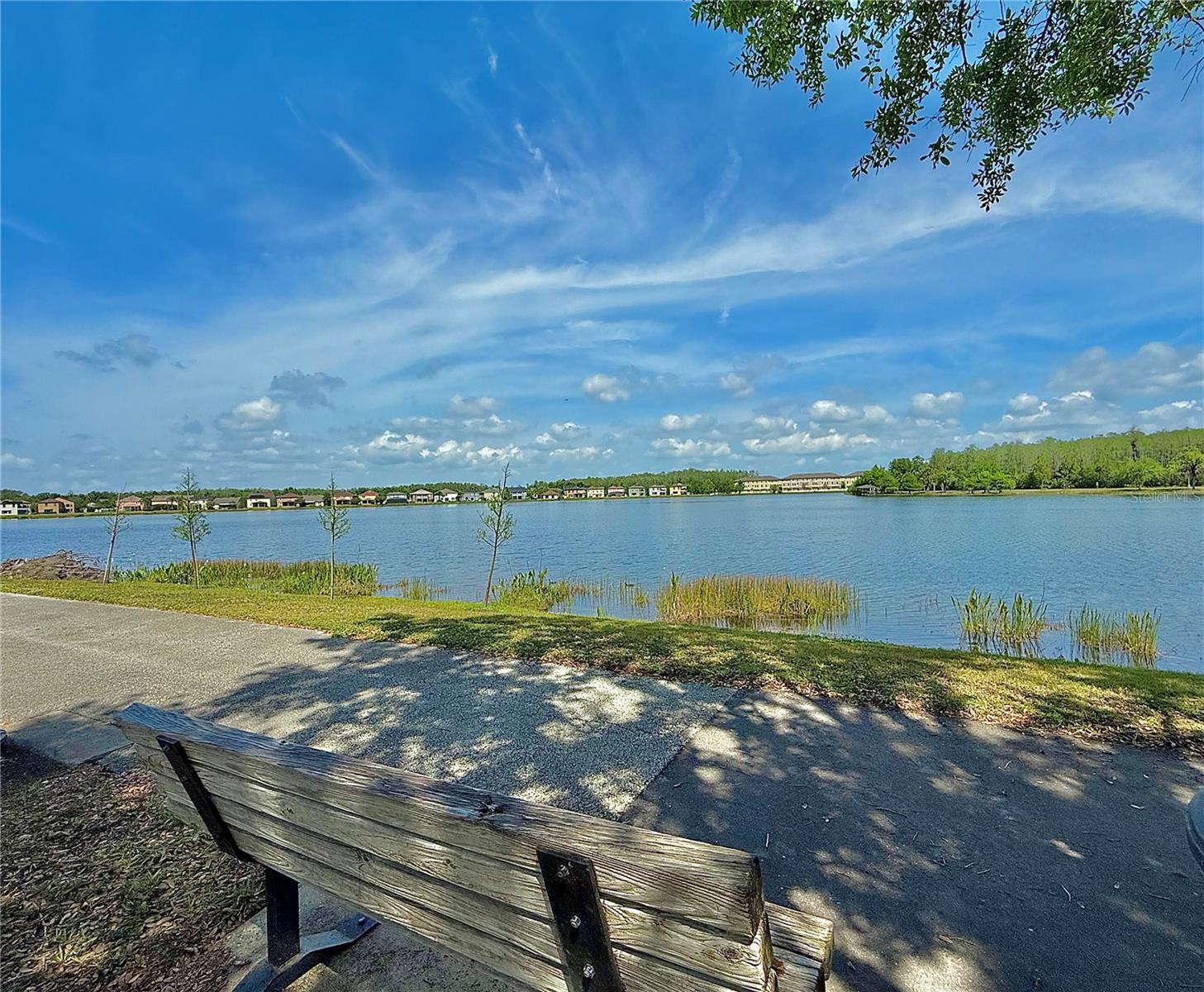 9934 MOSS ROSE WAY, ORLANDO, FL, 32832