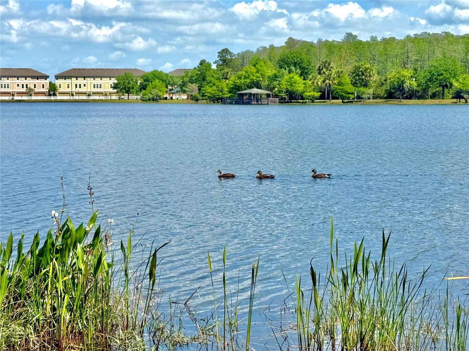 9934 MOSS ROSE WAY, ORLANDO, FL, 32832