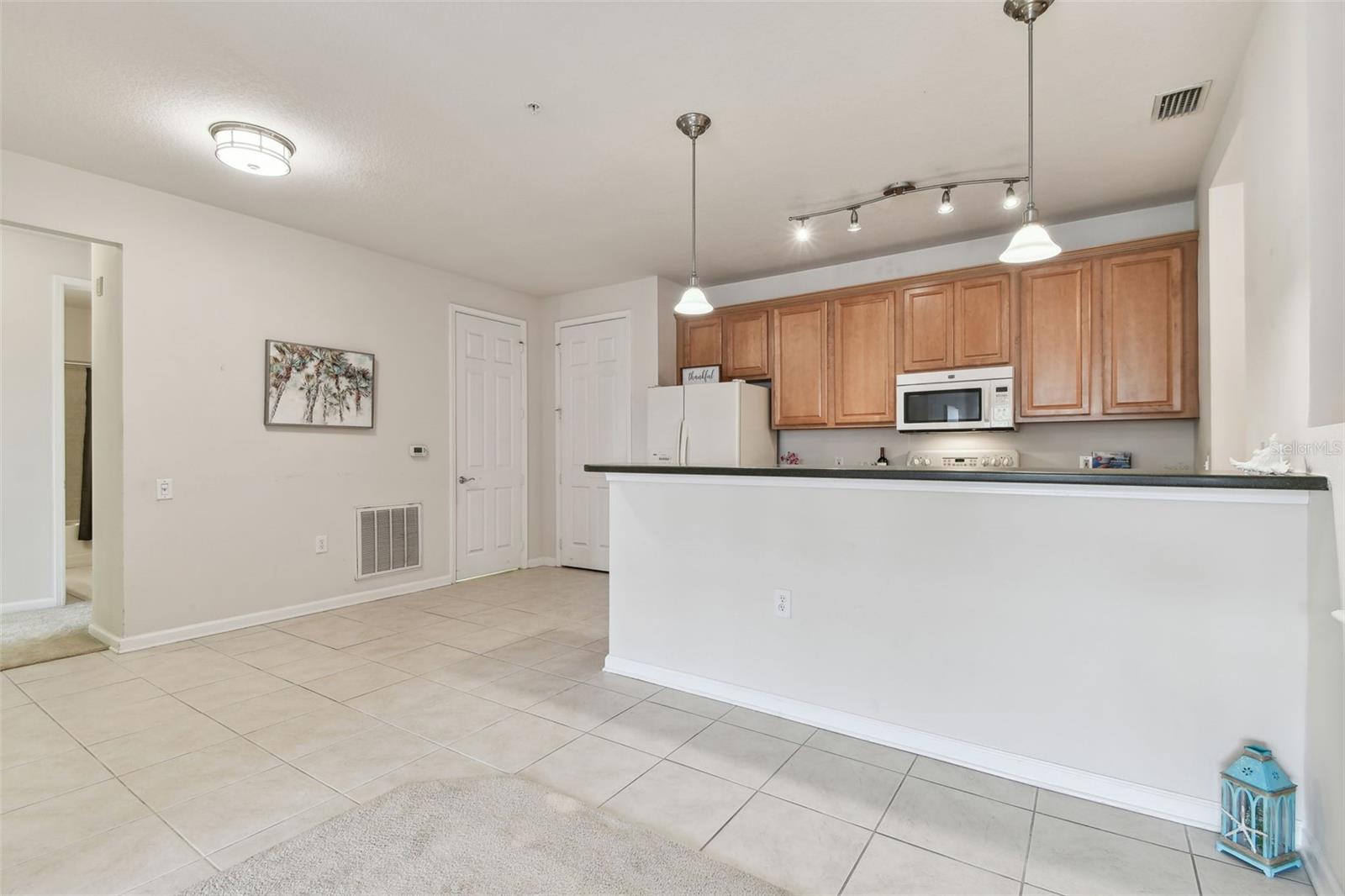 7903 SEMINOLE BLVD #2204, SEMINOLE, FL, 33772