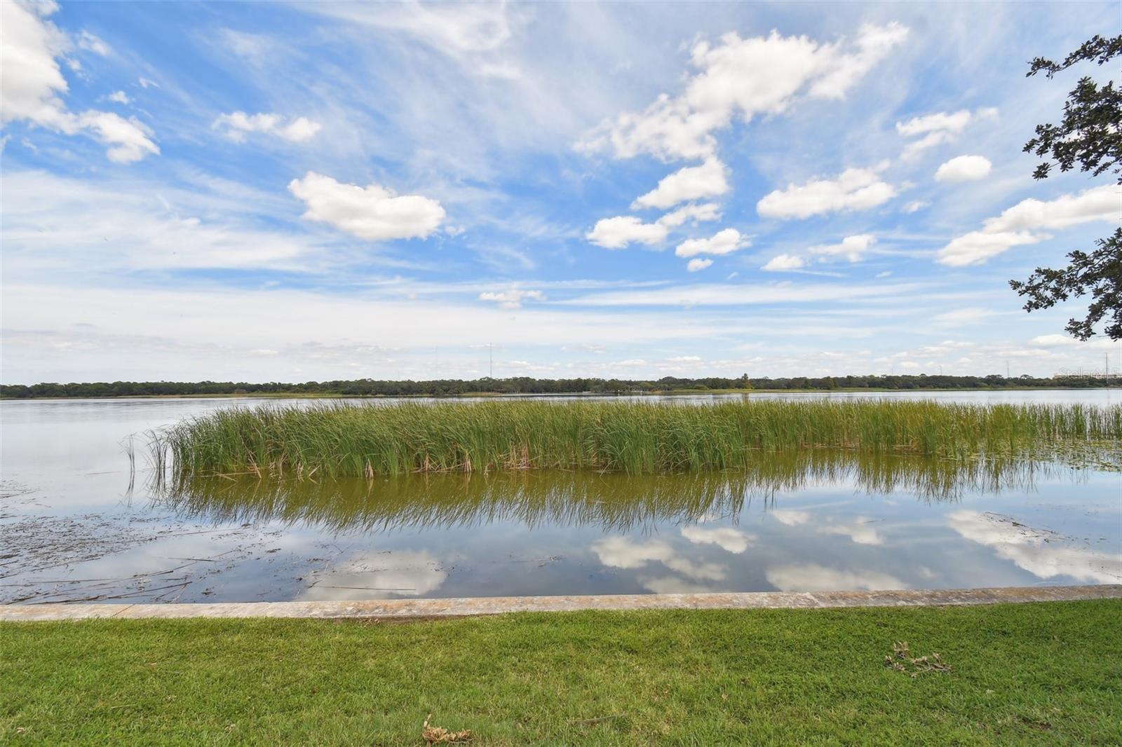 7903 SEMINOLE BLVD #2204, SEMINOLE, FL, 33772