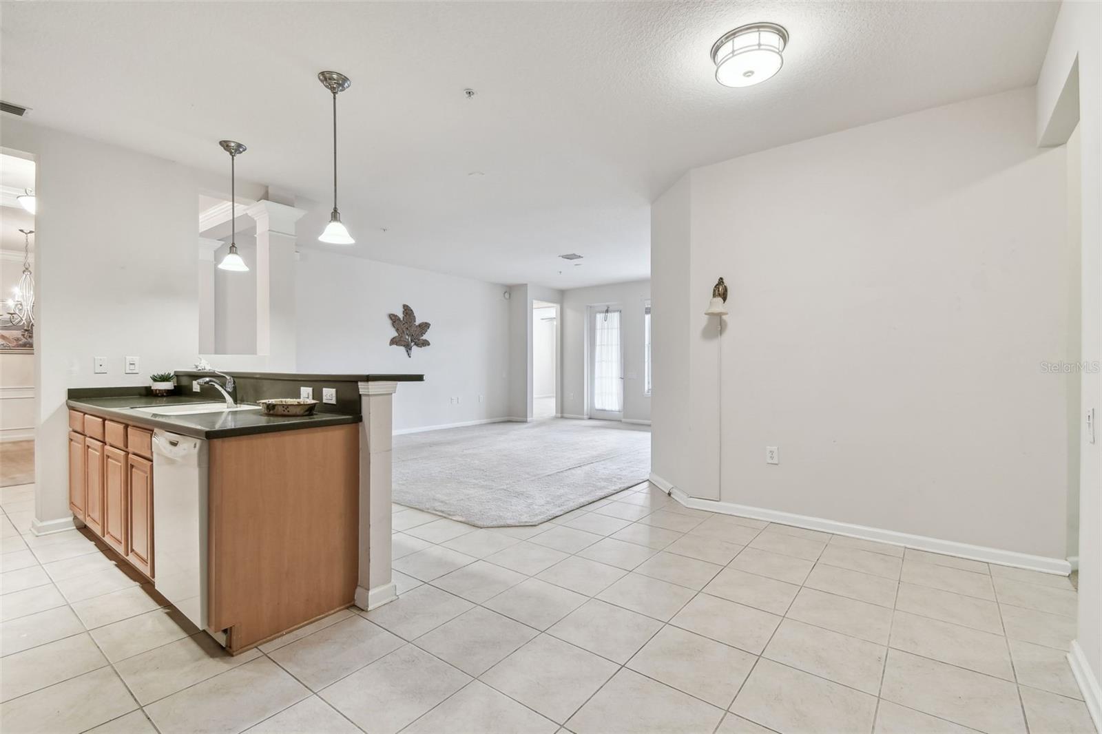 7903 SEMINOLE BLVD #2204, SEMINOLE, FL, 33772