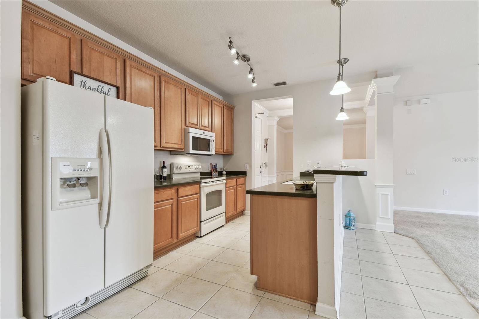 7903 SEMINOLE BLVD #2204, SEMINOLE, FL, 33772