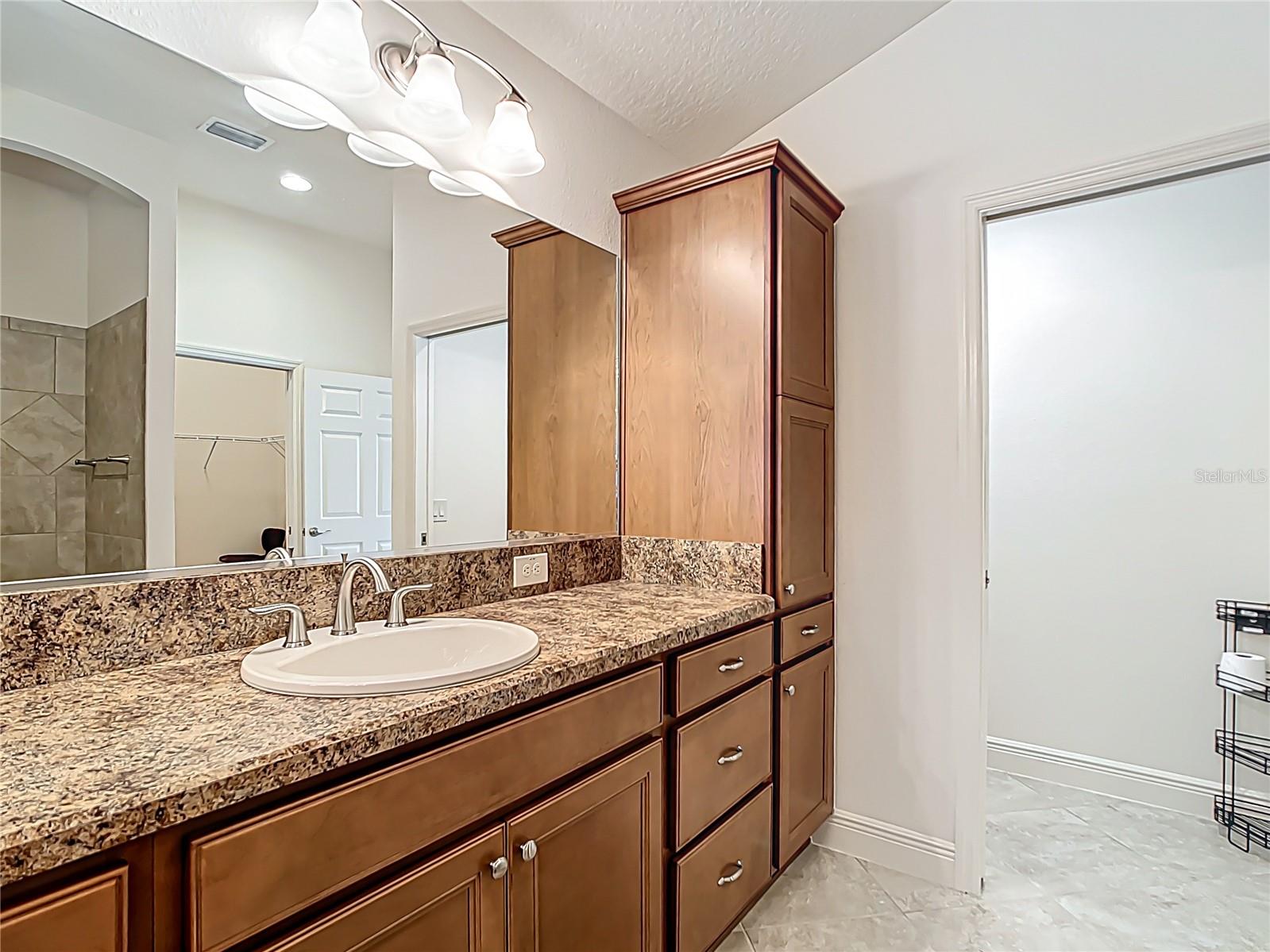 2992 HICKS PL, THE VILLAGES, FL, 32163
