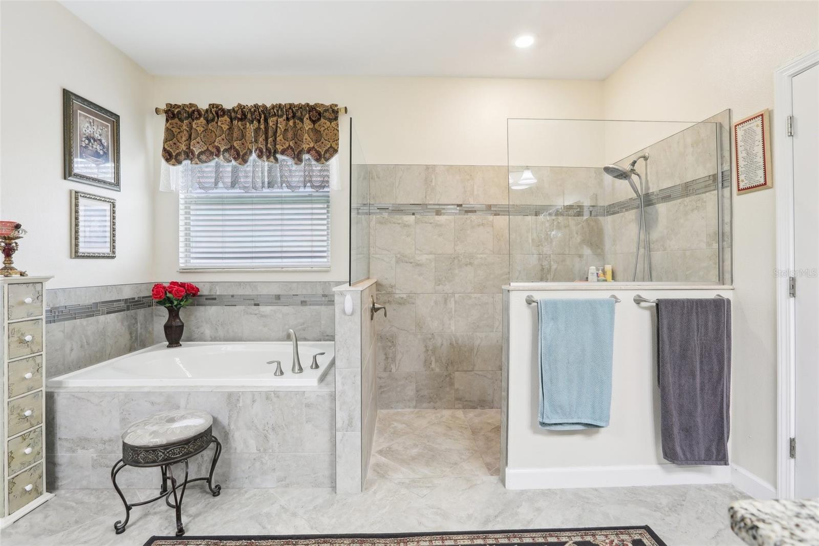 12003 CINNAMON FERN DR, RIVERVIEW, FL, 33579