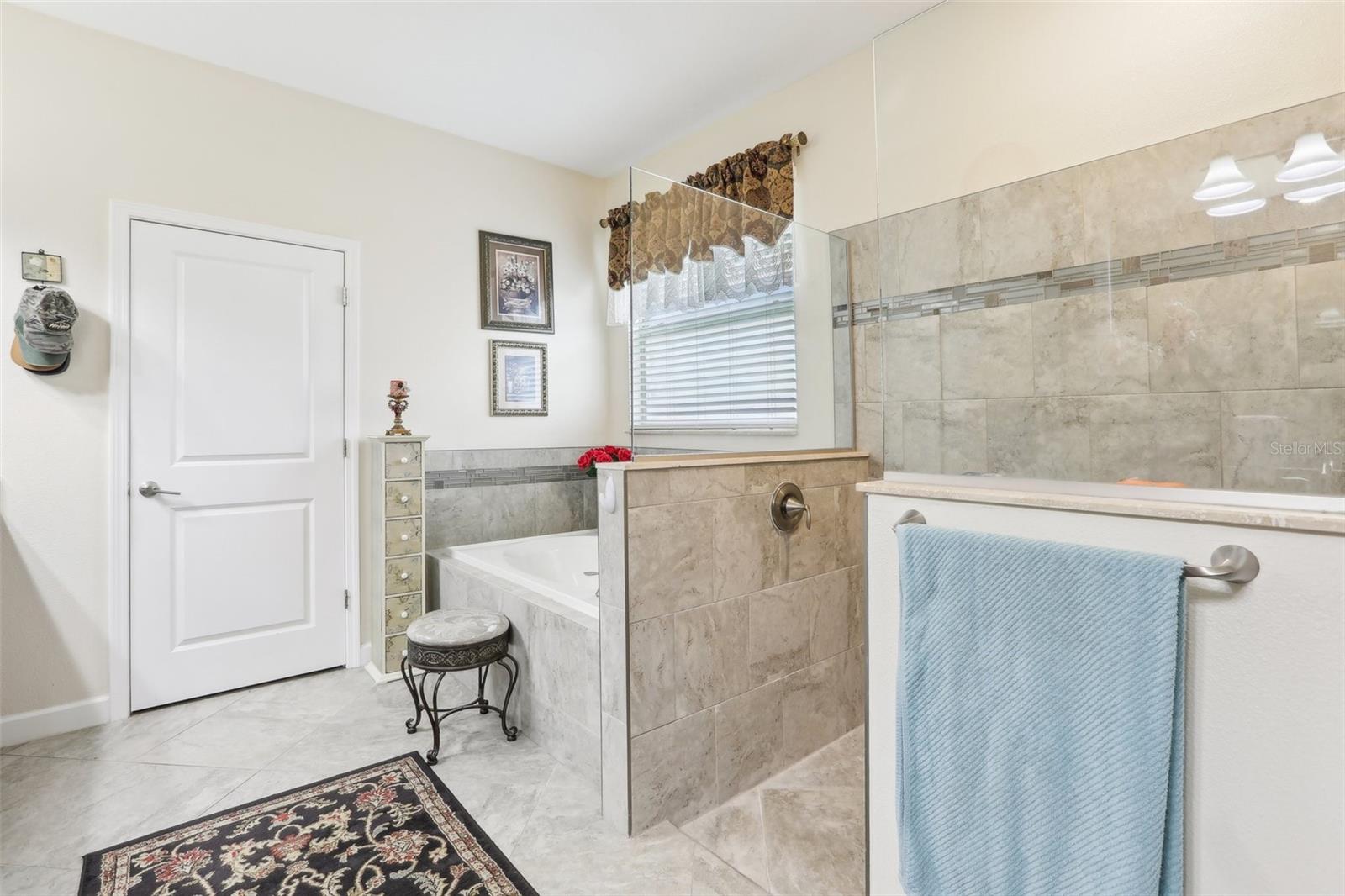 12003 CINNAMON FERN DR, RIVERVIEW, FL, 33579