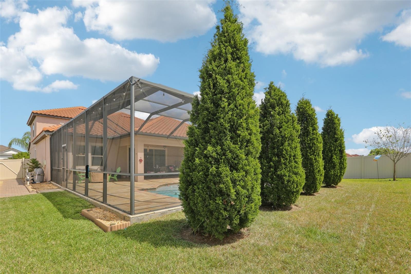 12003 CINNAMON FERN DR, RIVERVIEW, FL, 33579