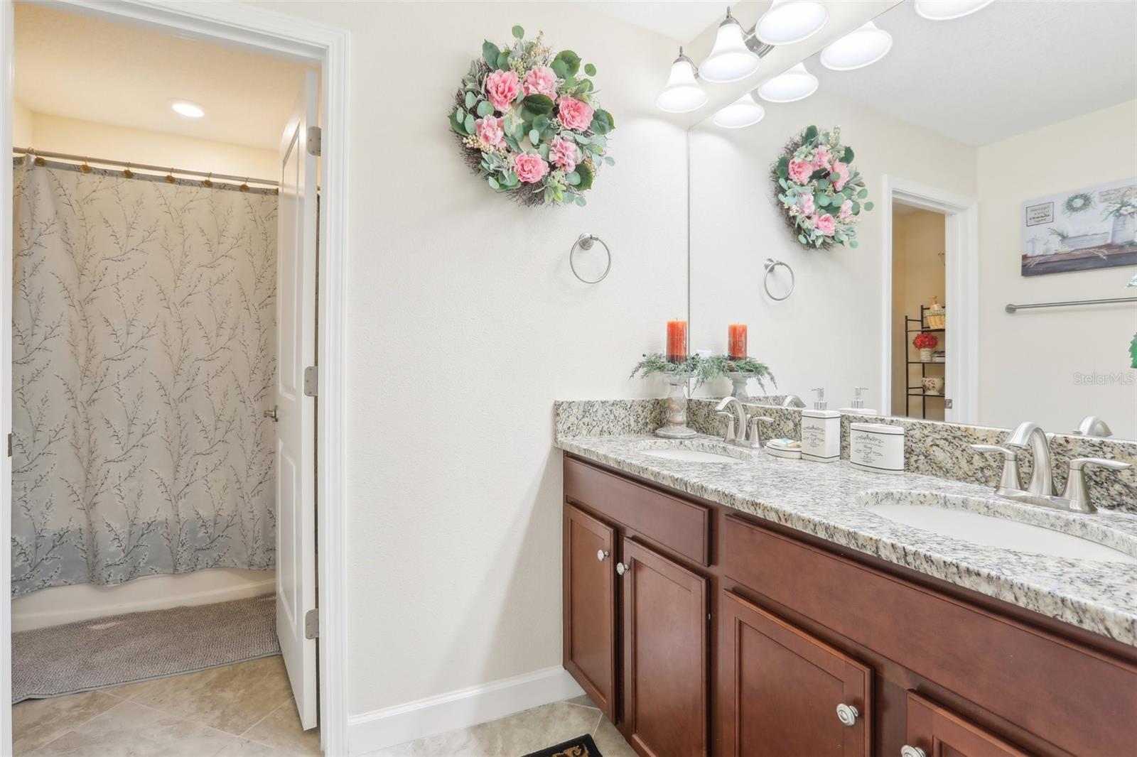 12003 CINNAMON FERN DR, RIVERVIEW, FL, 33579