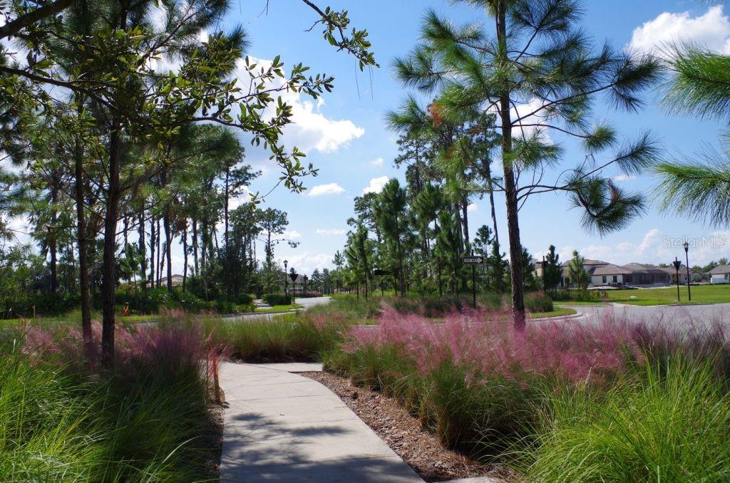 12003 CINNAMON FERN DR, RIVERVIEW, FL, 33579