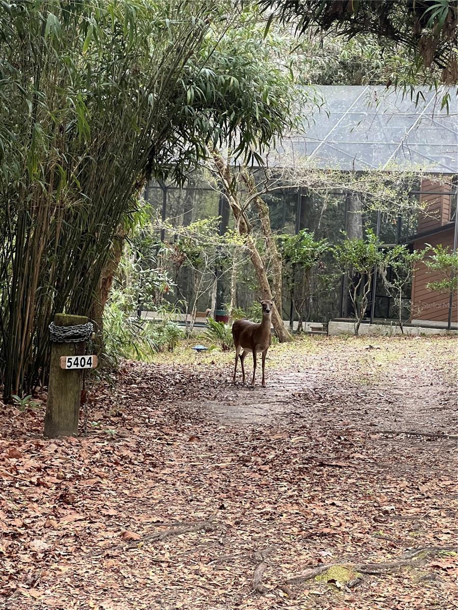 5404 NW 98TH TER, GAINESVILLE, FL, 32653