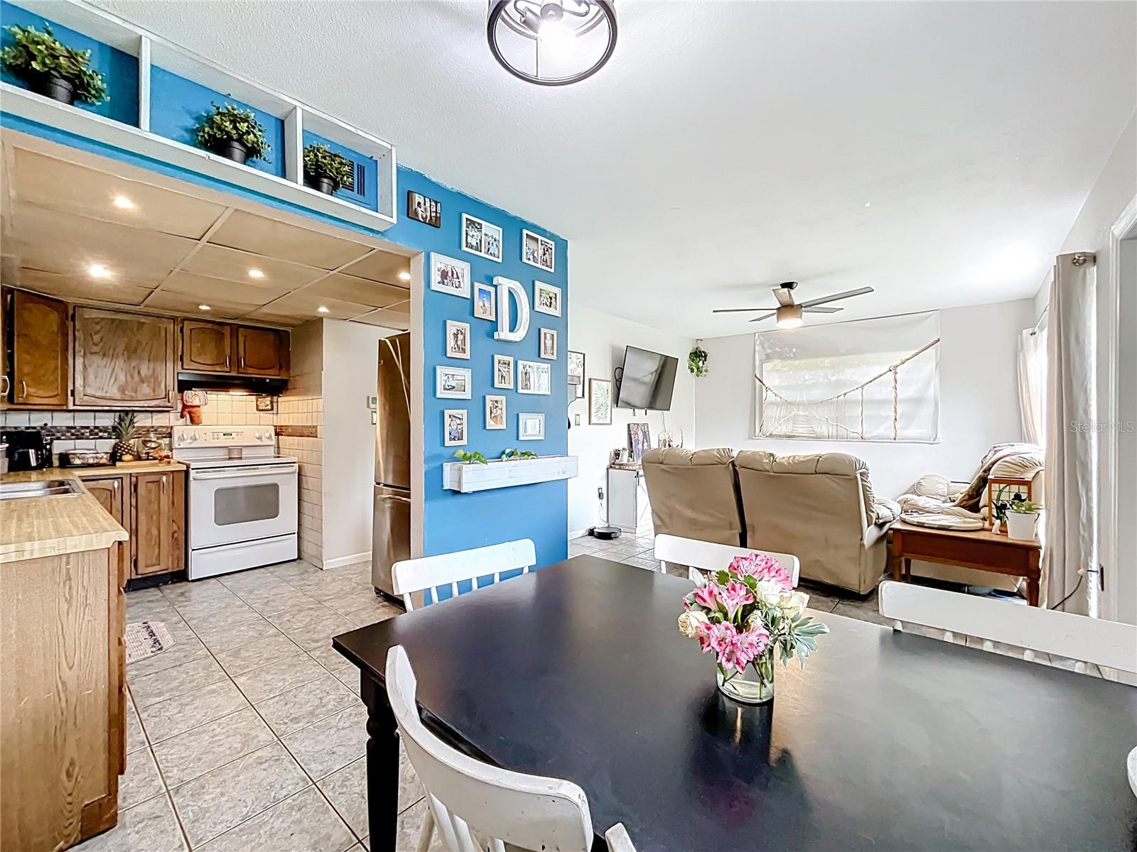 515 SCENIC ST, LEESBURG, FL, 34748