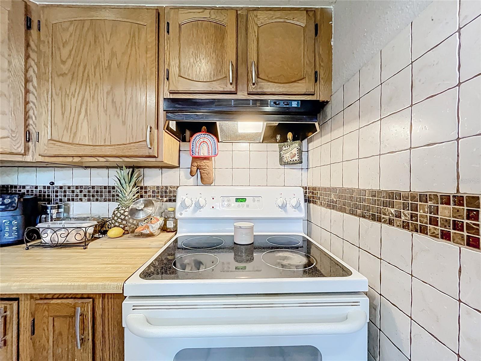 515 SCENIC ST, LEESBURG, FL, 34748