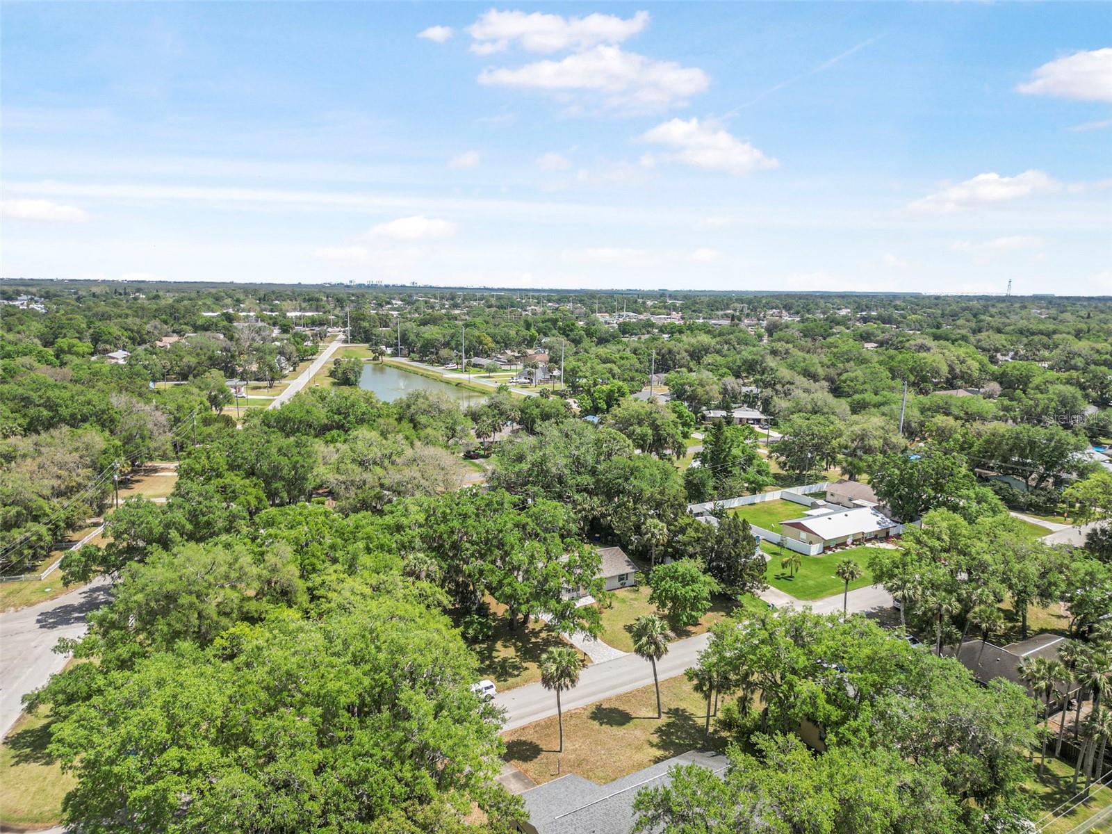 1617 ORANGE TREE DR, EDGEWATER, FL, 32132