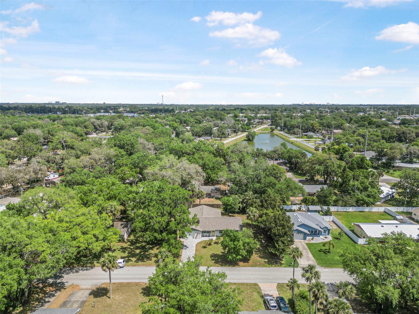 1617 ORANGE TREE DR, EDGEWATER, FL, 32132