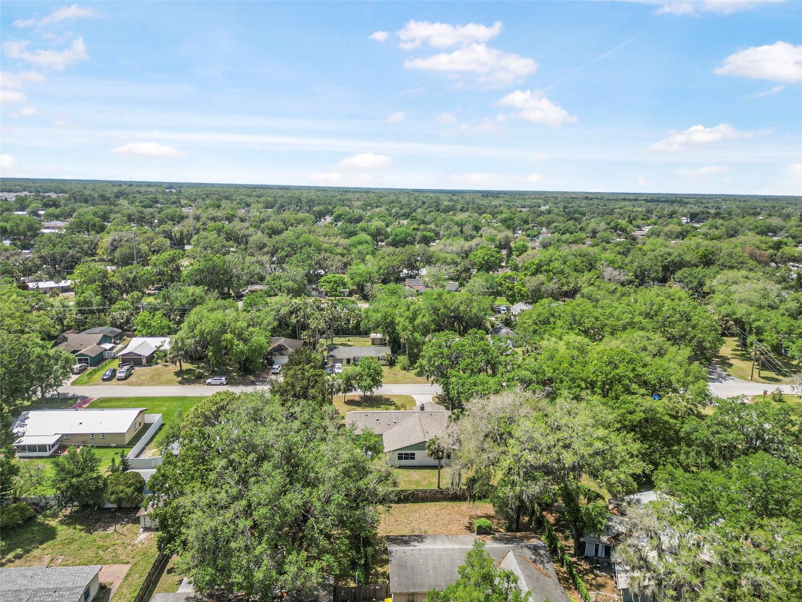 1617 ORANGE TREE DR, EDGEWATER, FL, 32132