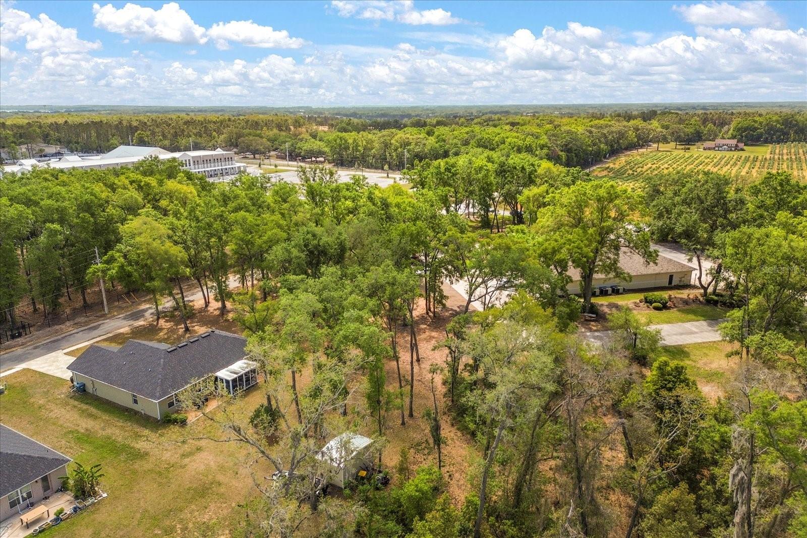 814 OLIVE AVE, FRUITLAND PARK, FL, 34731