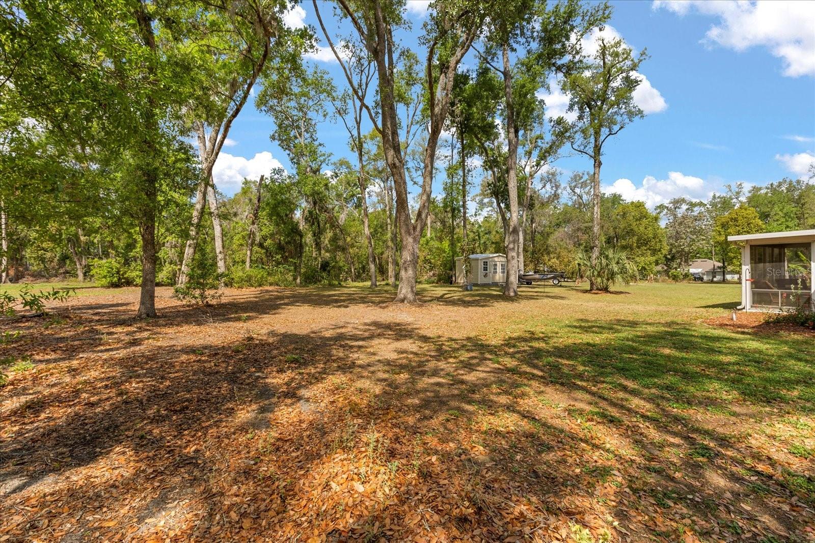 814 OLIVE AVE, FRUITLAND PARK, FL, 34731