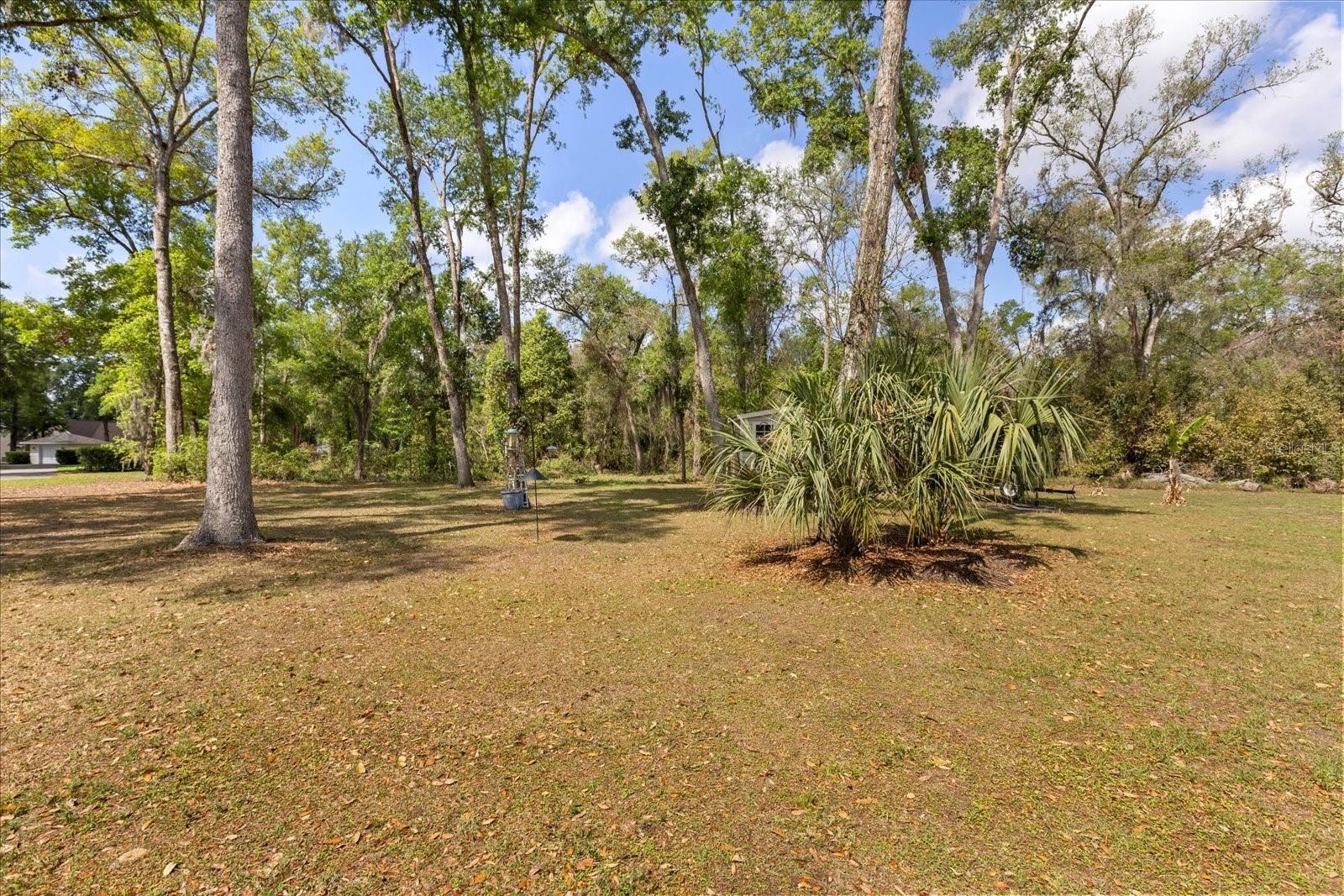 814 OLIVE AVE, FRUITLAND PARK, FL, 34731
