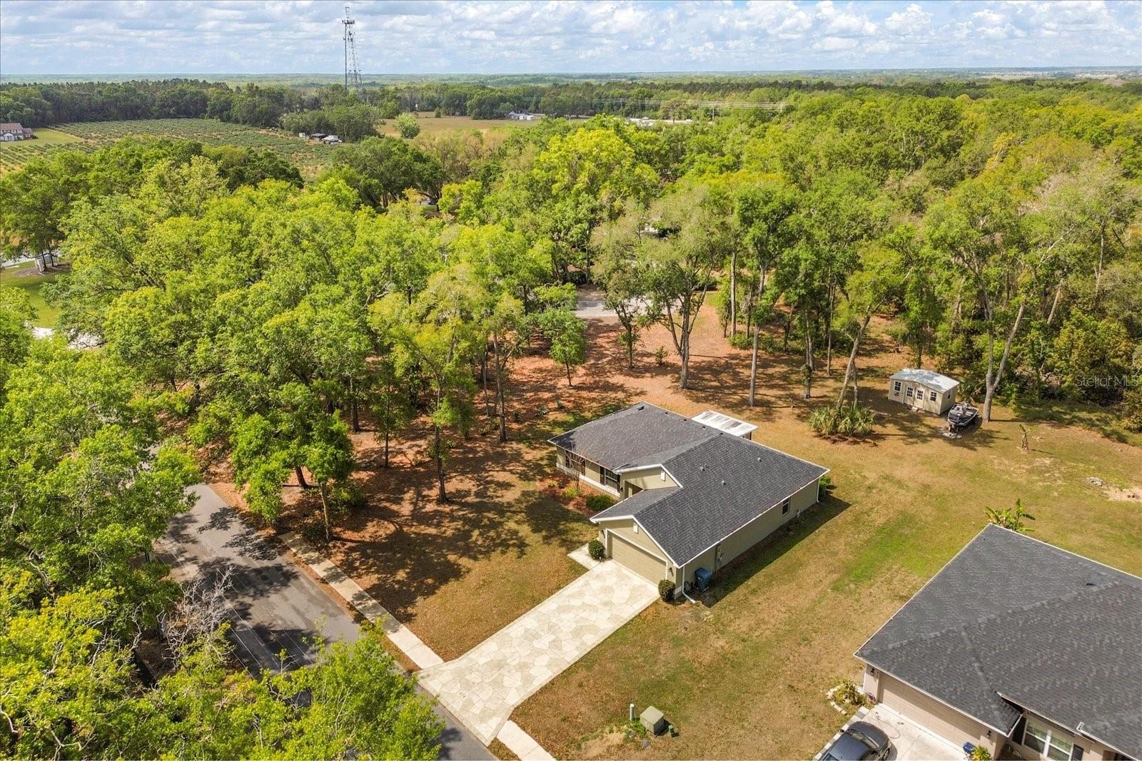 814 OLIVE AVE, FRUITLAND PARK, FL, 34731