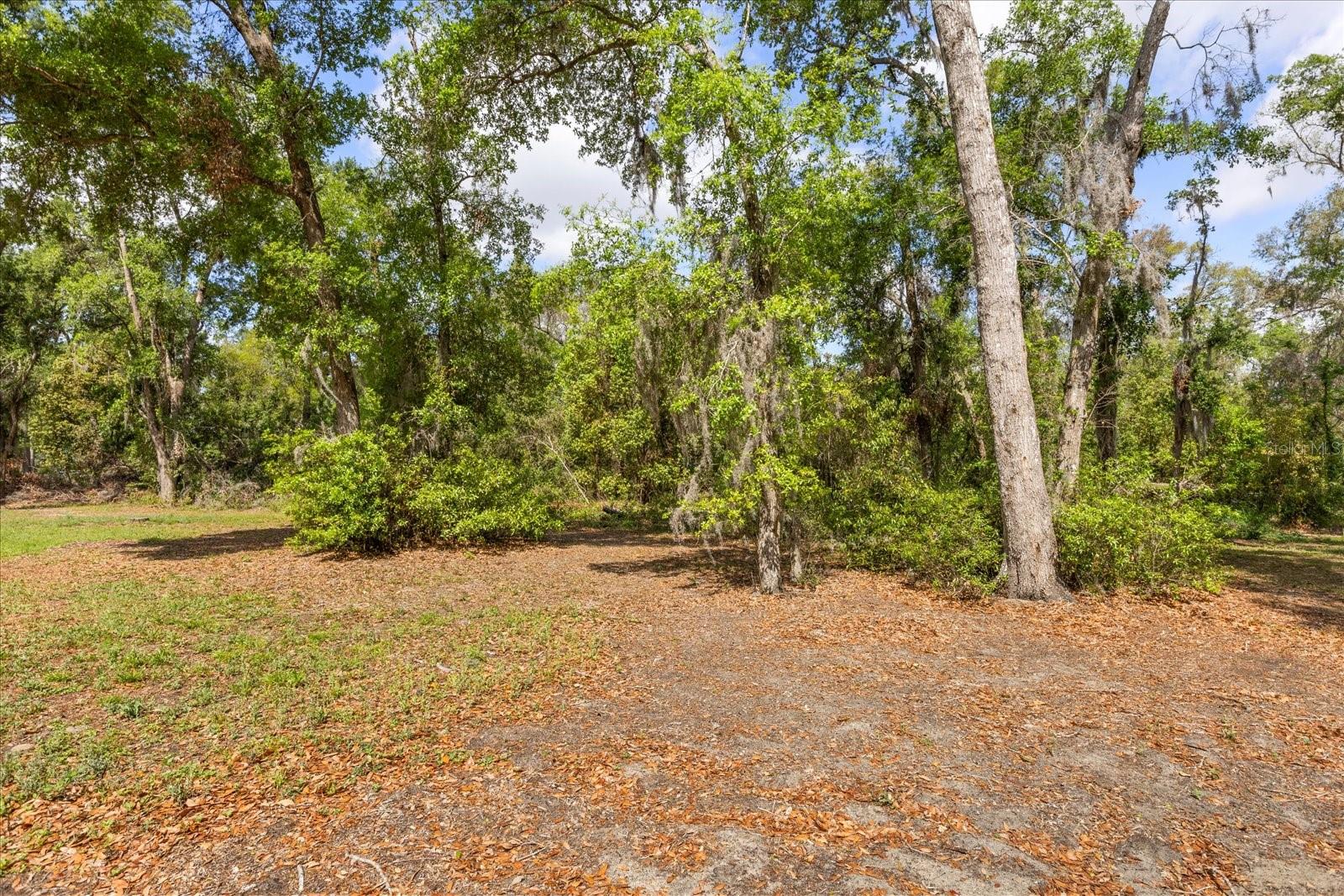 814 OLIVE AVE, FRUITLAND PARK, FL, 34731