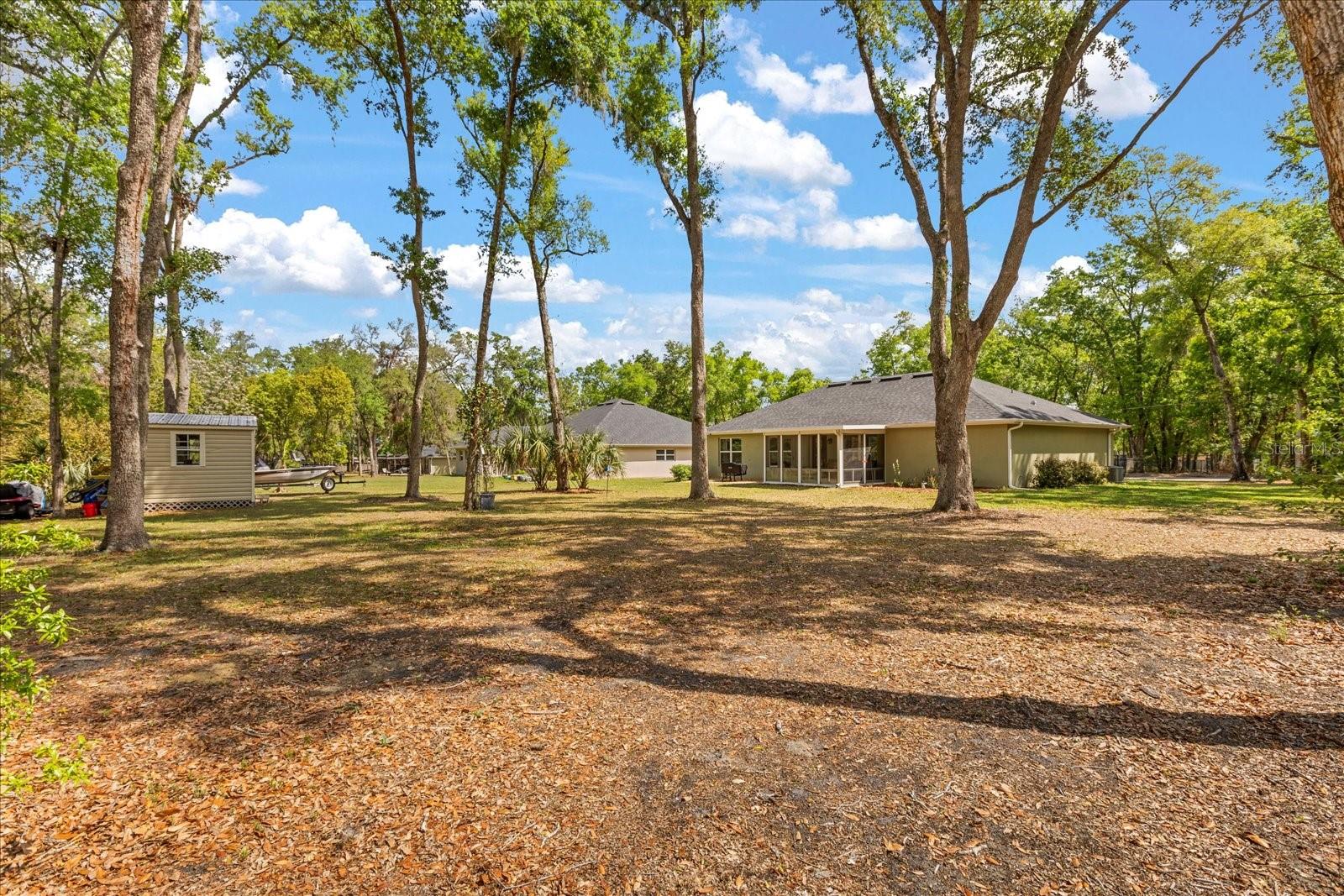 814 OLIVE AVE, FRUITLAND PARK, FL, 34731