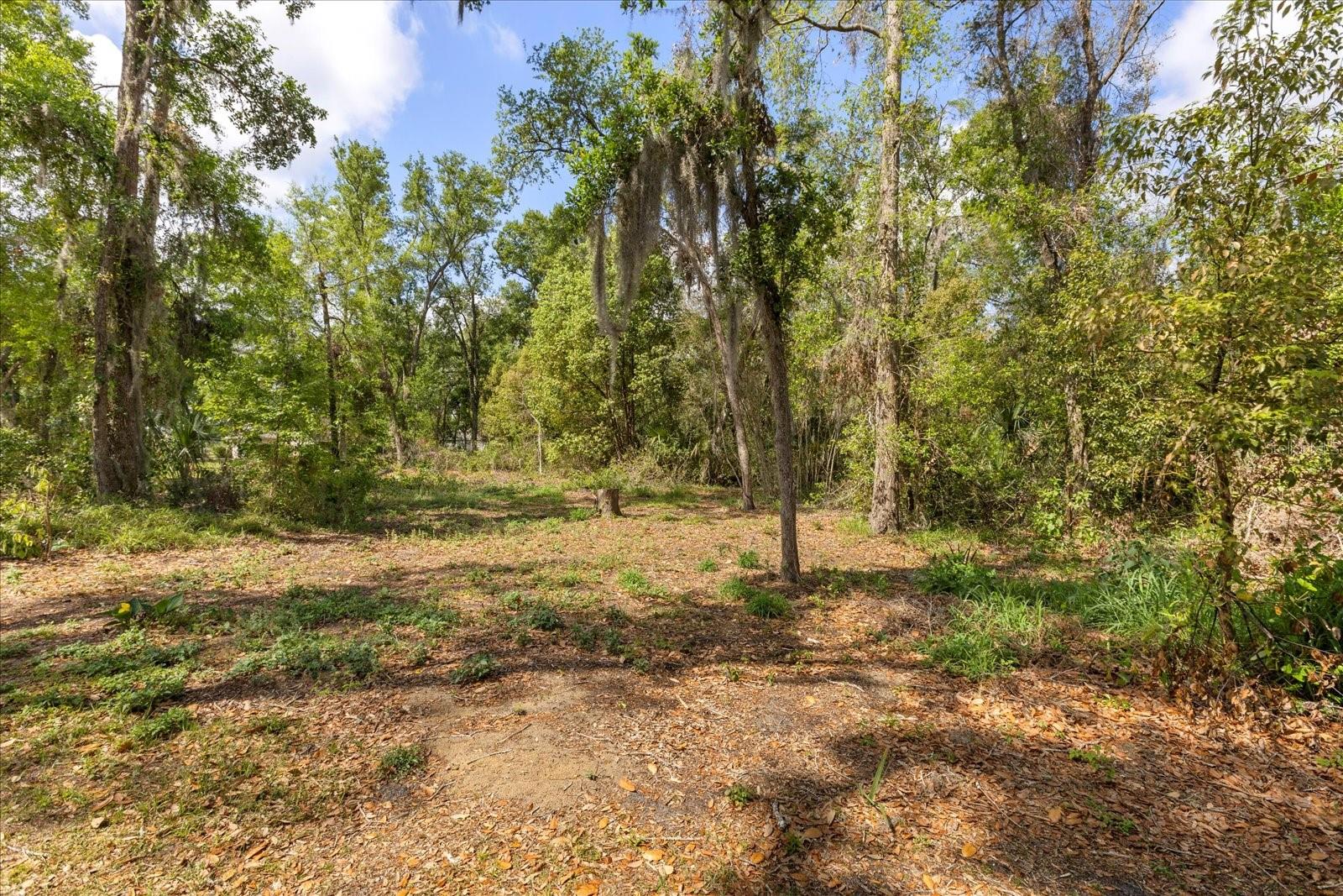 814 OLIVE AVE, FRUITLAND PARK, FL, 34731