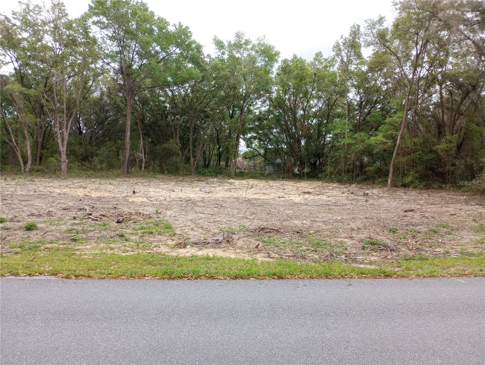 TBD SW 130TH PL, OCALA, FL, 34473