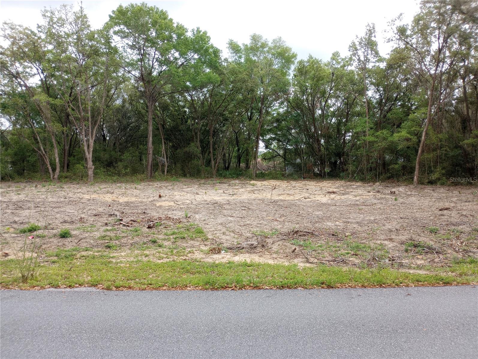 TBD SW 130TH PL, OCALA, FL, 34473