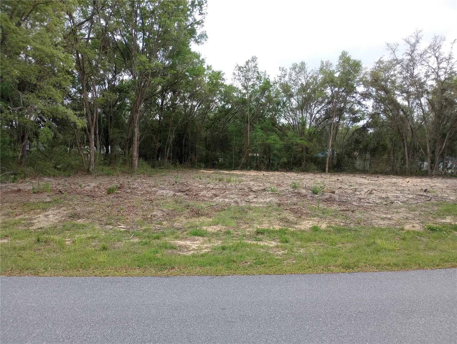 TBD SW 130TH PL, OCALA, FL, 34473