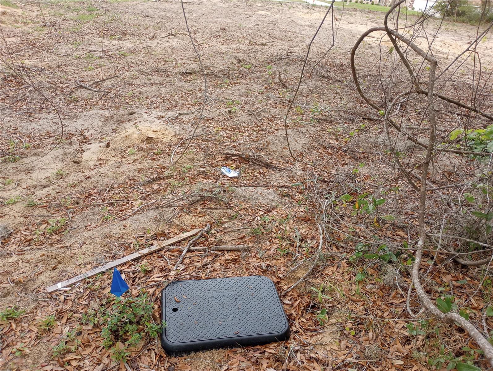 TBD SW 130TH PL, OCALA, FL, 34473