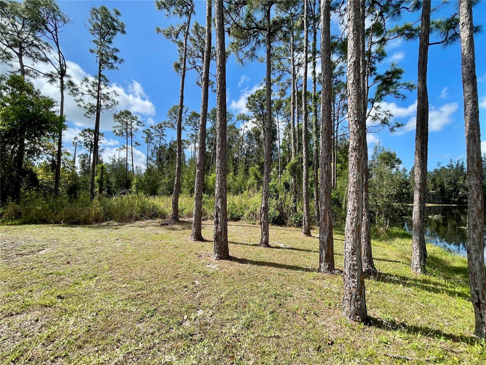 12059 TRIBUNE BLVD, PUNTA GORDA, FL, 33955