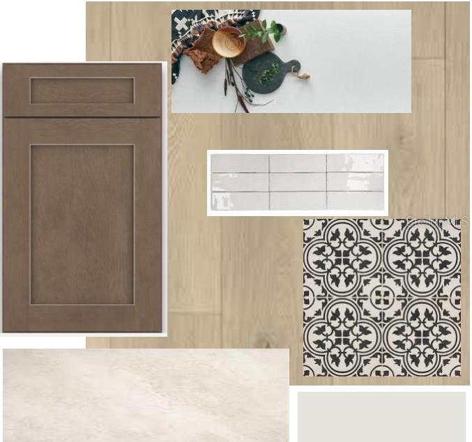 28764 JUJUBE RD, WESLEY CHAPEL, FL, 33543