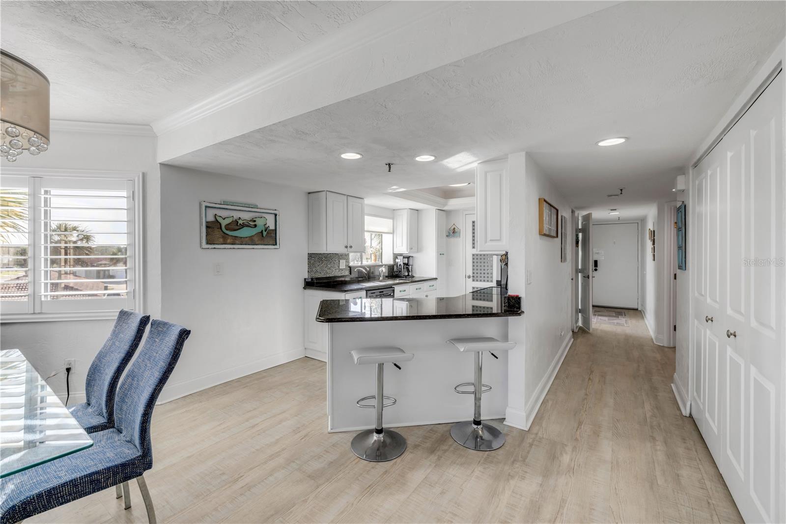 3001 S ATLANTIC AVE #523, NEW SMYRNA BEACH, FL, 32169
