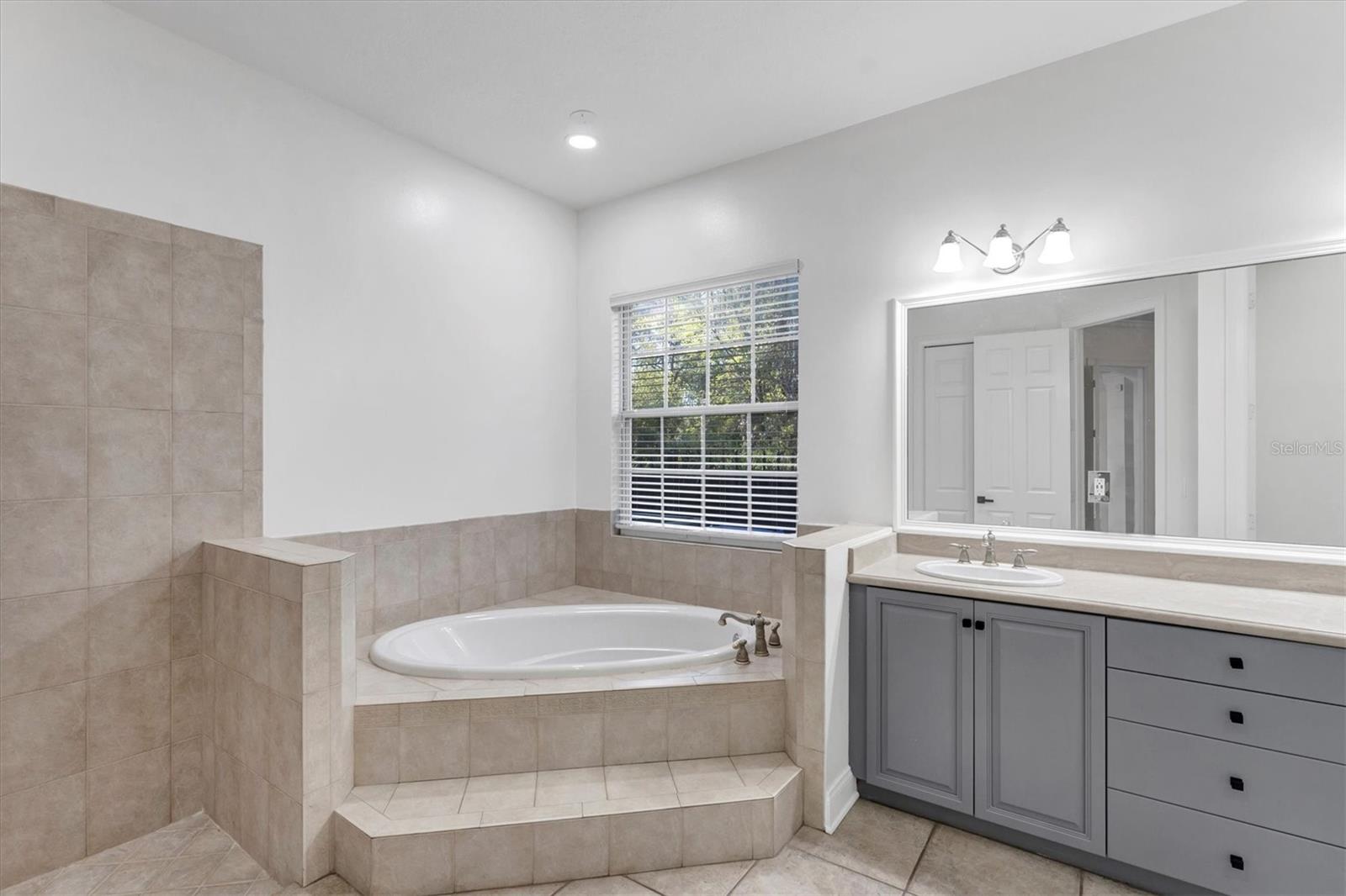 10818 TRADITION LOOP, TAMPA, FL, 33618