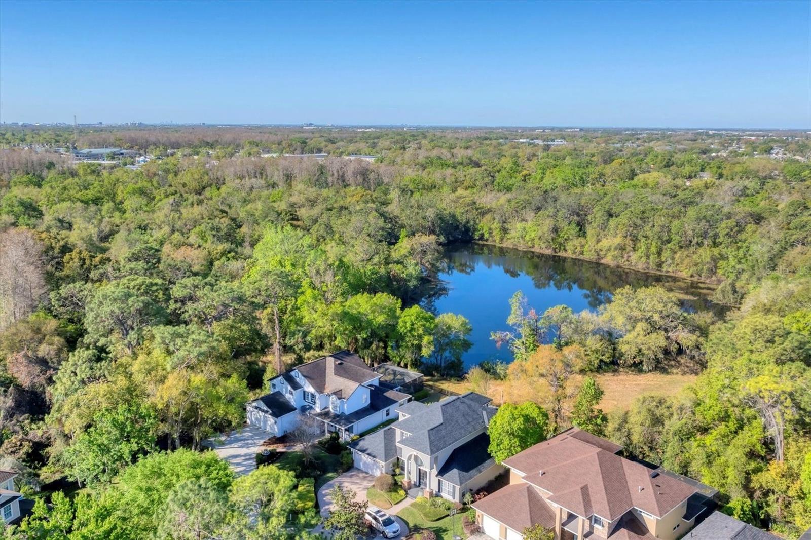 10818 TRADITION LOOP, TAMPA, FL, 33618