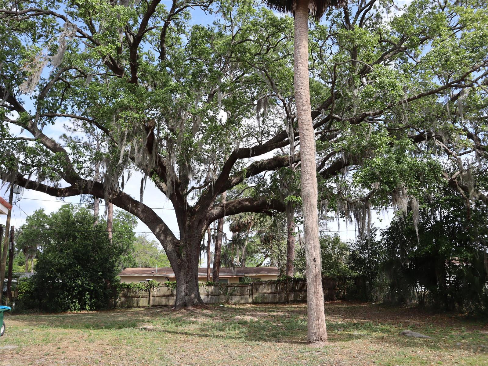 1151 DELTONA BLVD, DELTONA, FL, 32725