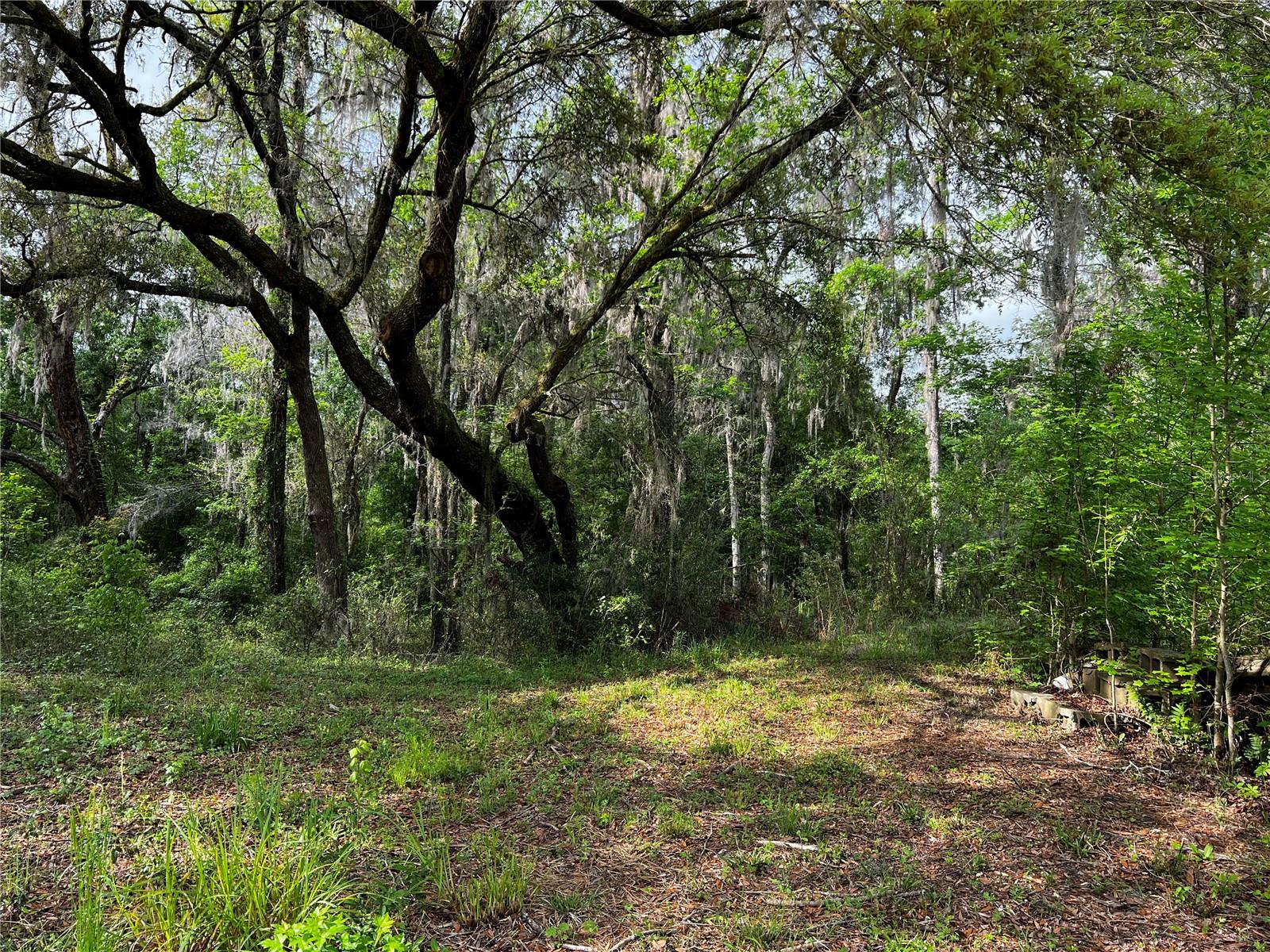 5572 SW 111TH LN, LAKE BUTLER, FL, 32054