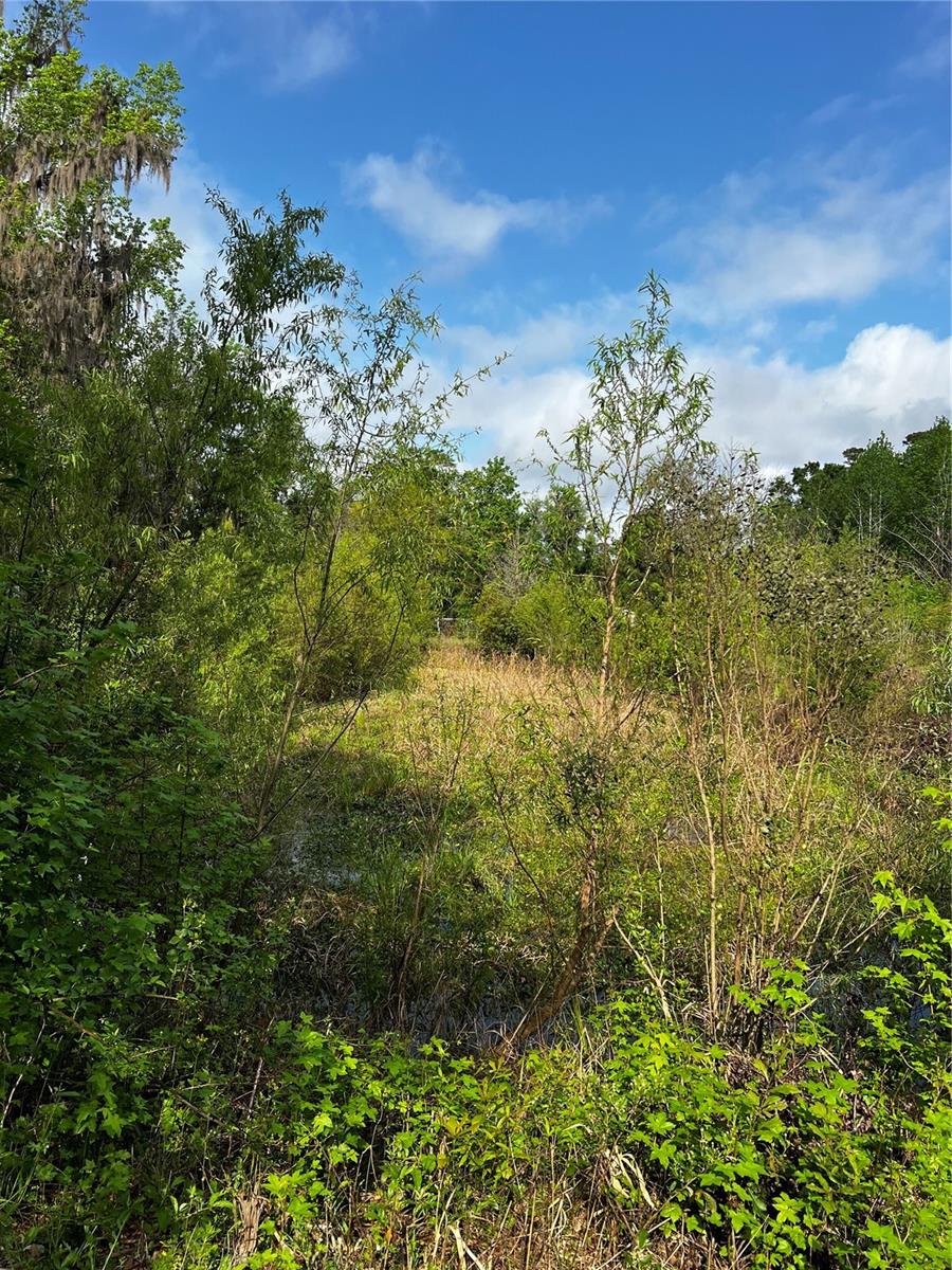 5572 SW 111TH LN, LAKE BUTLER, FL, 32054