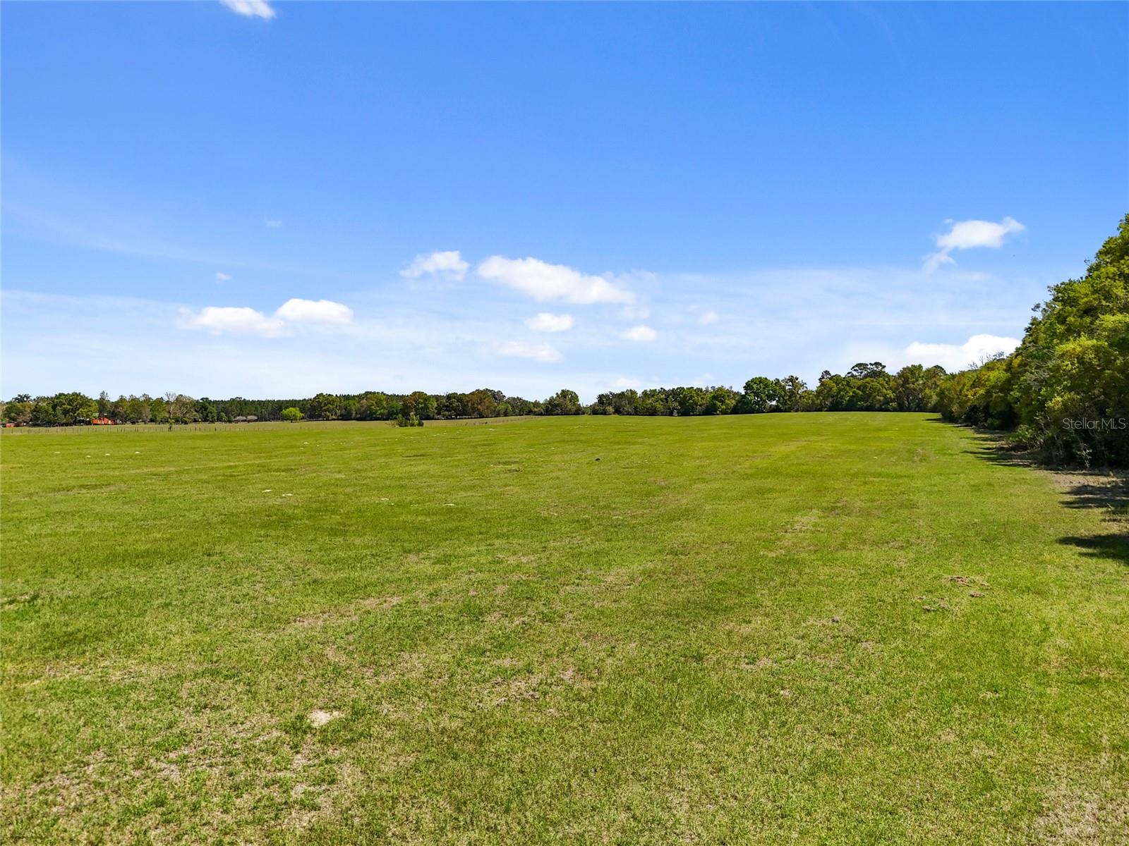 0000 SW 282ND STREET, NEWBERRY, FL, 32669