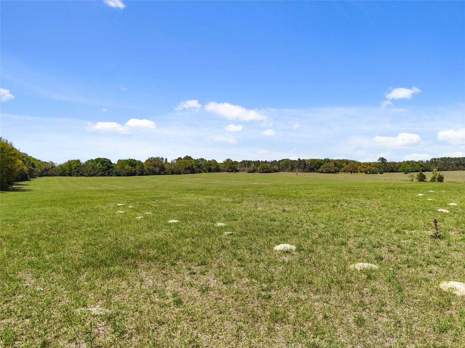 0000 SW 282ND STREET, NEWBERRY, FL, 32669