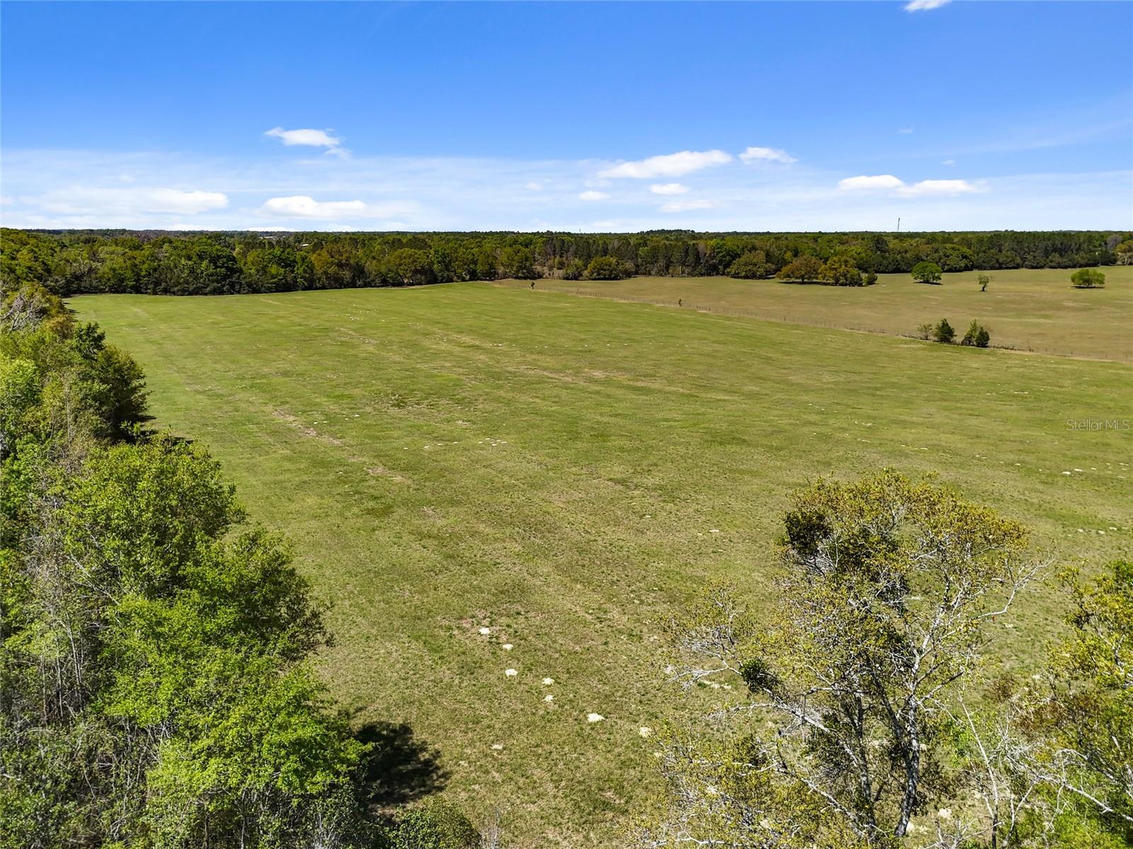 0000 SW 282ND STREET, NEWBERRY, FL, 32669