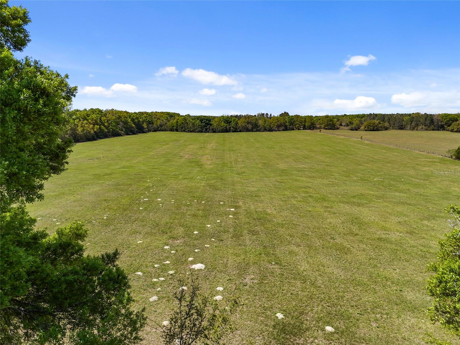 0000 SW 282ND STREET, NEWBERRY, FL, 32669