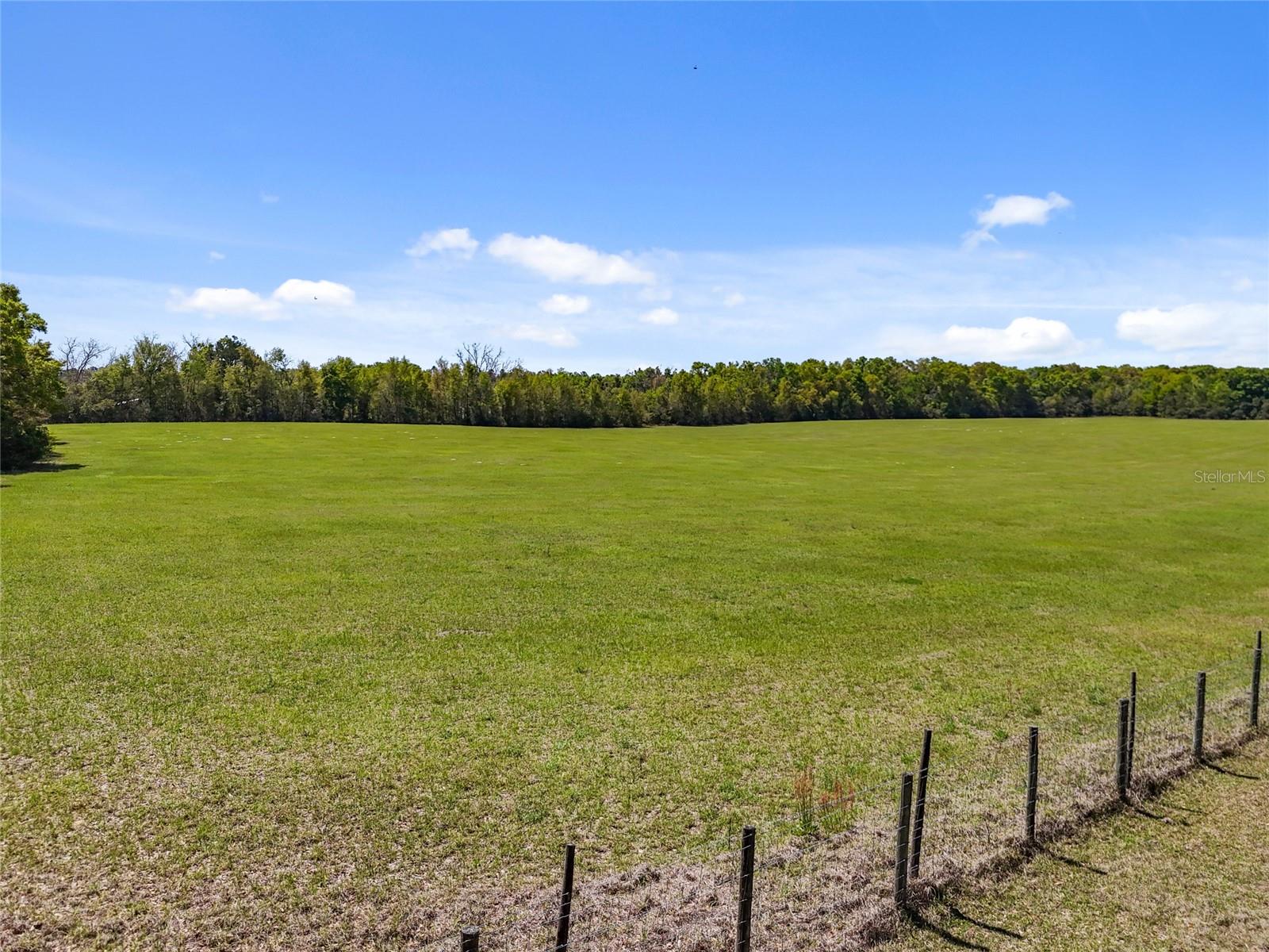 0000 SW 282ND STREET, NEWBERRY, FL, 32669