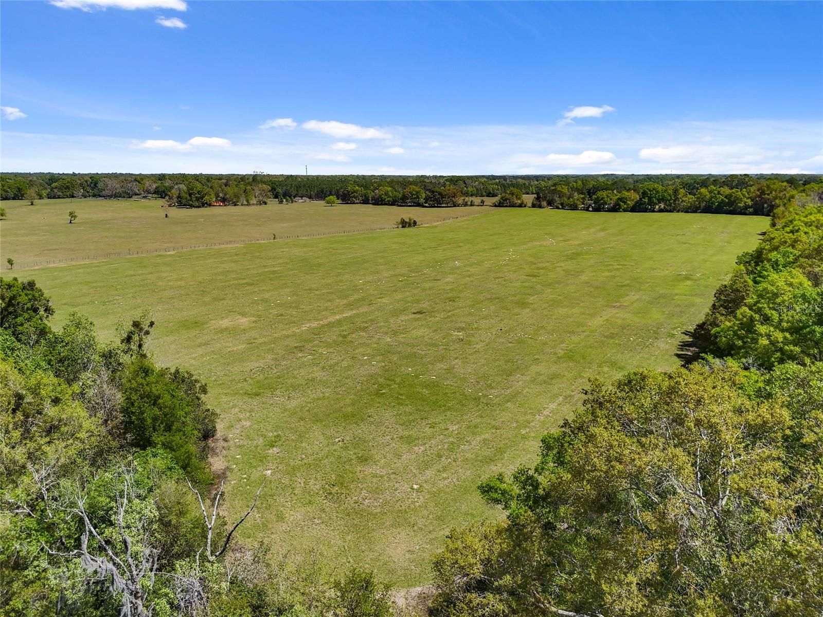 0000 SW 282ND STREET, NEWBERRY, FL, 32669