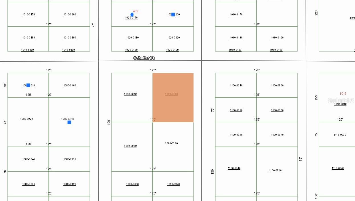 00 SHAPPELL AVE, INTERLACHEN, FL, 32148