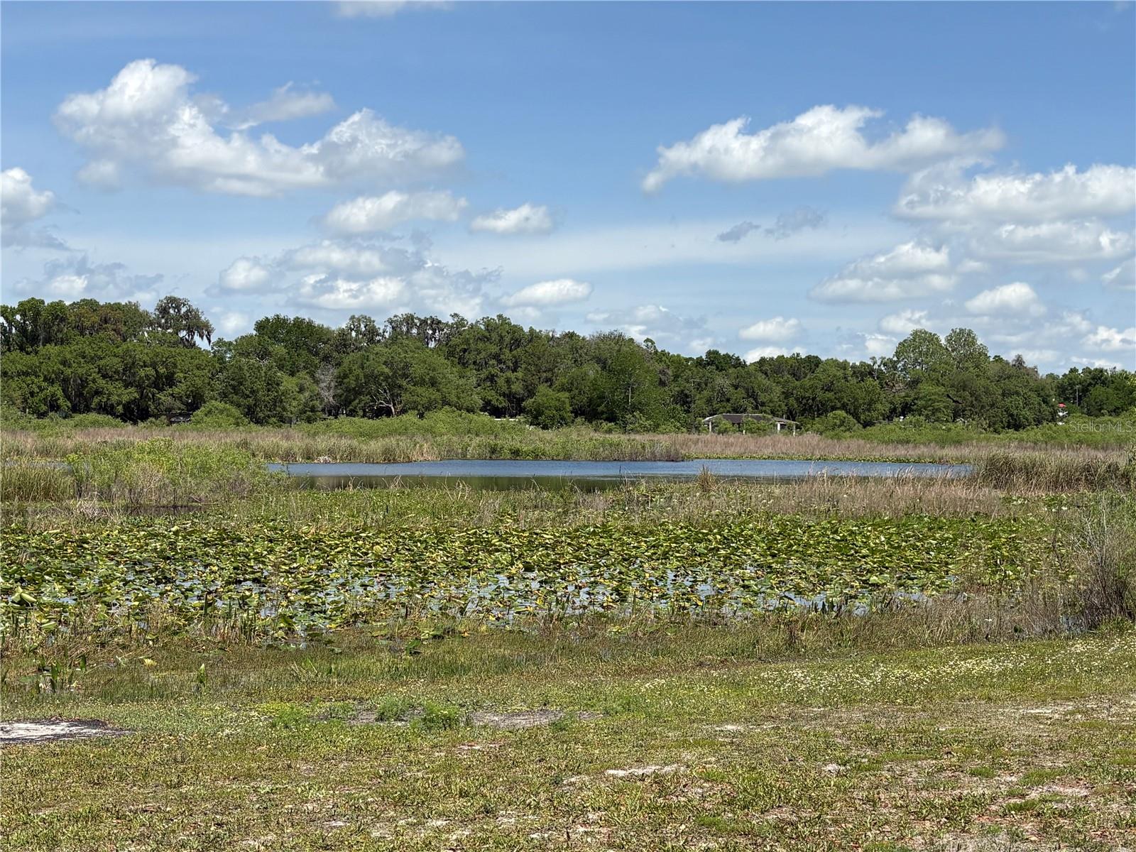 8047 E SUNRAY LN, FLORAL CITY, FL, 34436